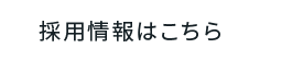 採用情報はこちら
